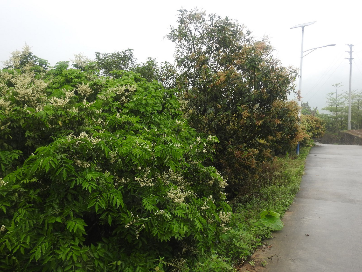 DSCN4018.JPG
