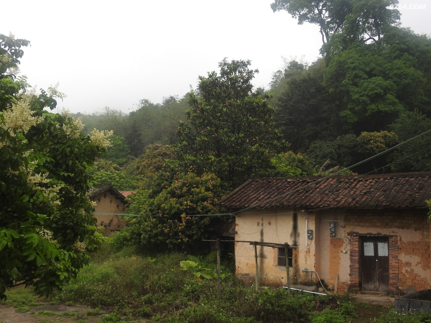 DSCN4019.JPG