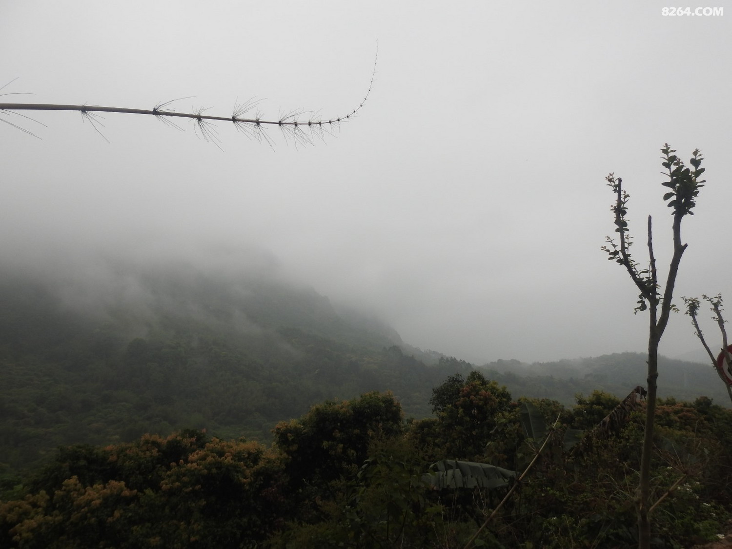 DSCN4022.JPG