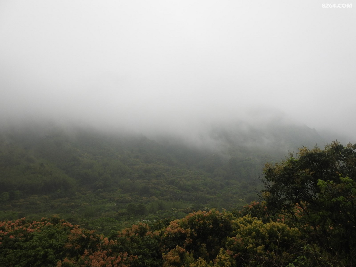 DSCN4023.JPG