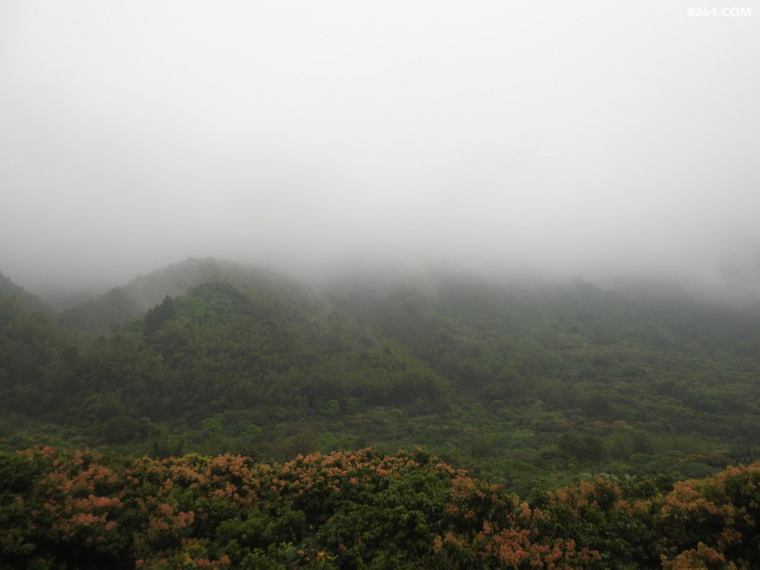 DSCN4024.JPG