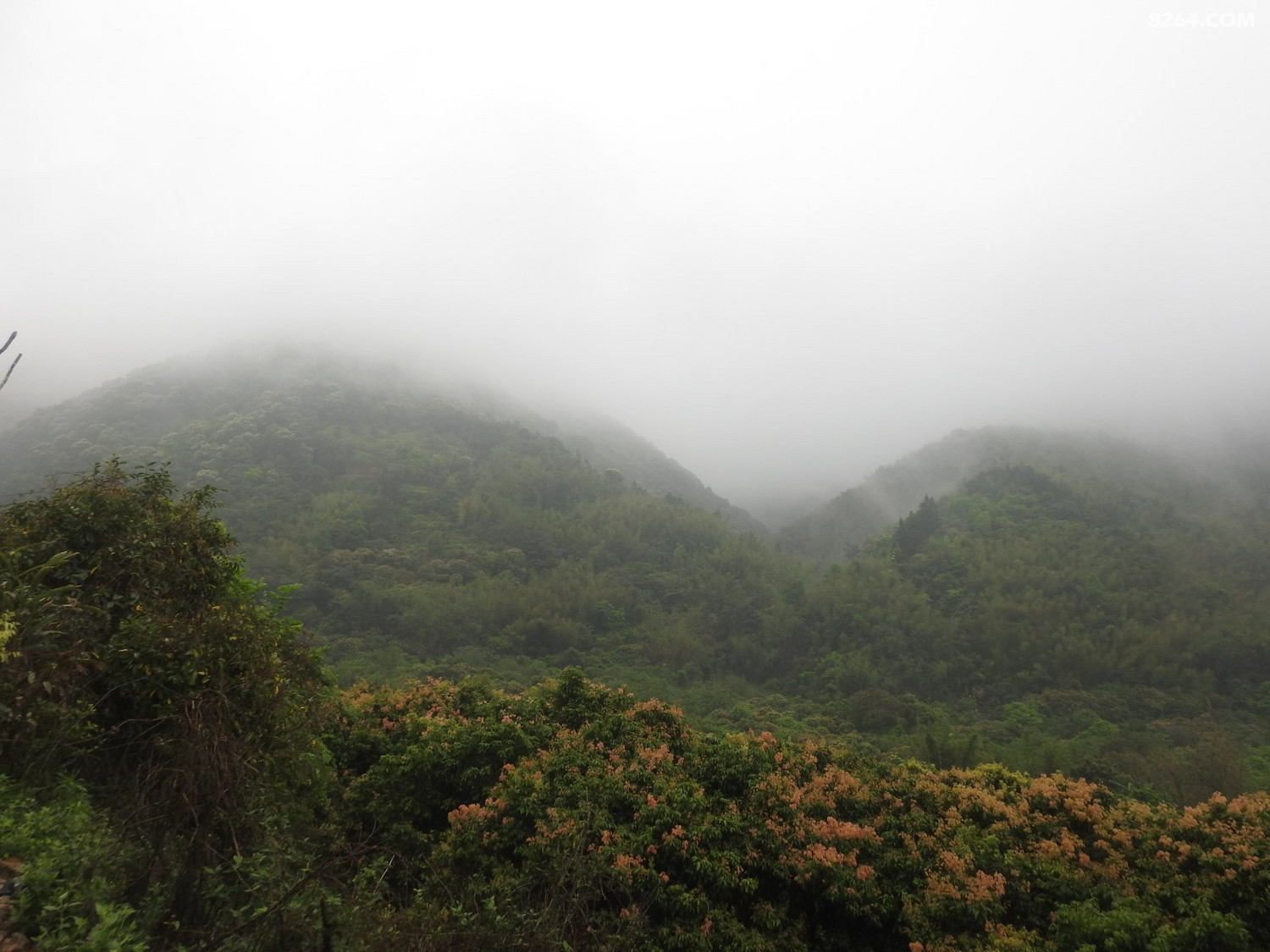 DSCN4025.JPG
