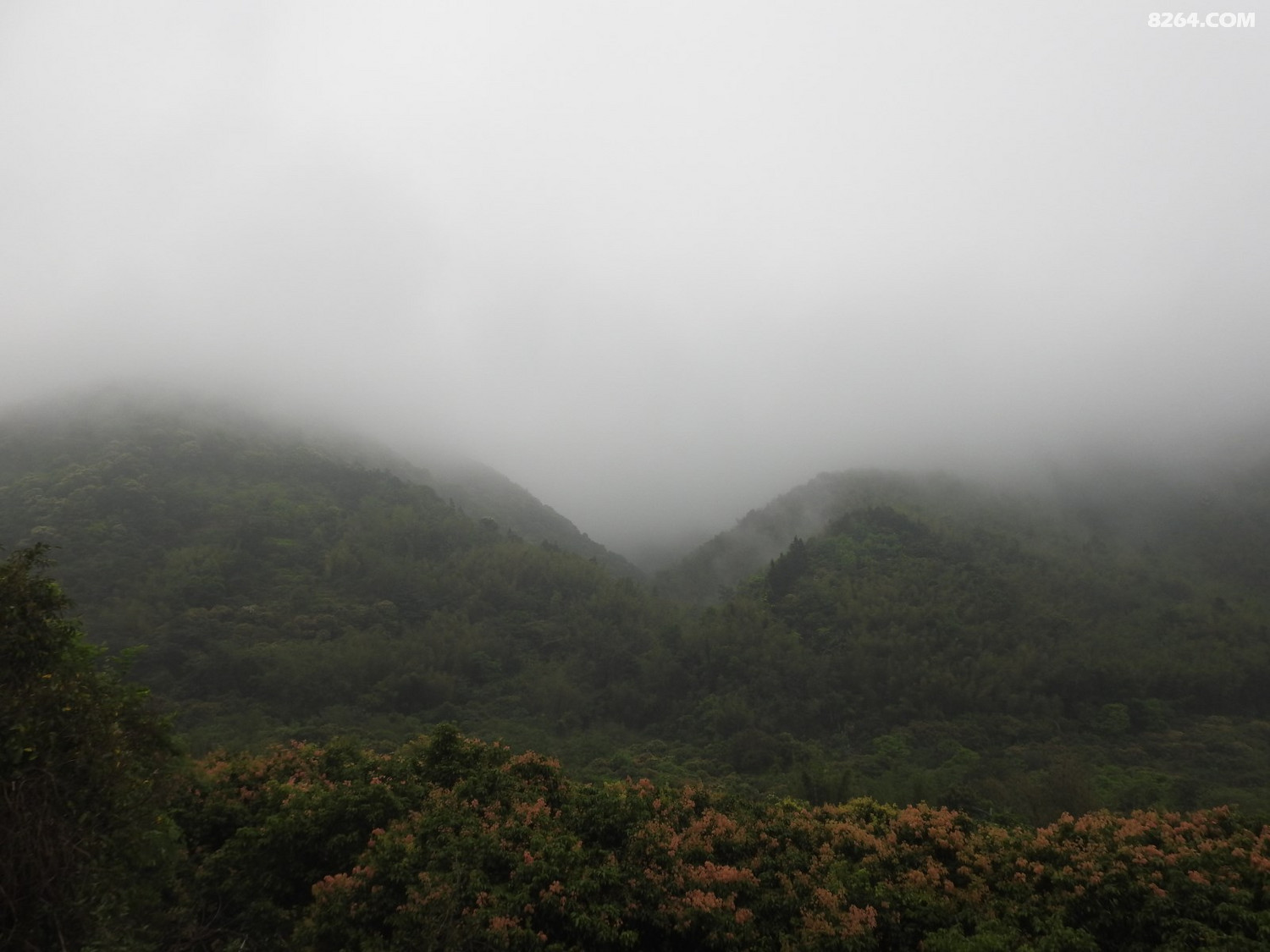 DSCN4026.JPG