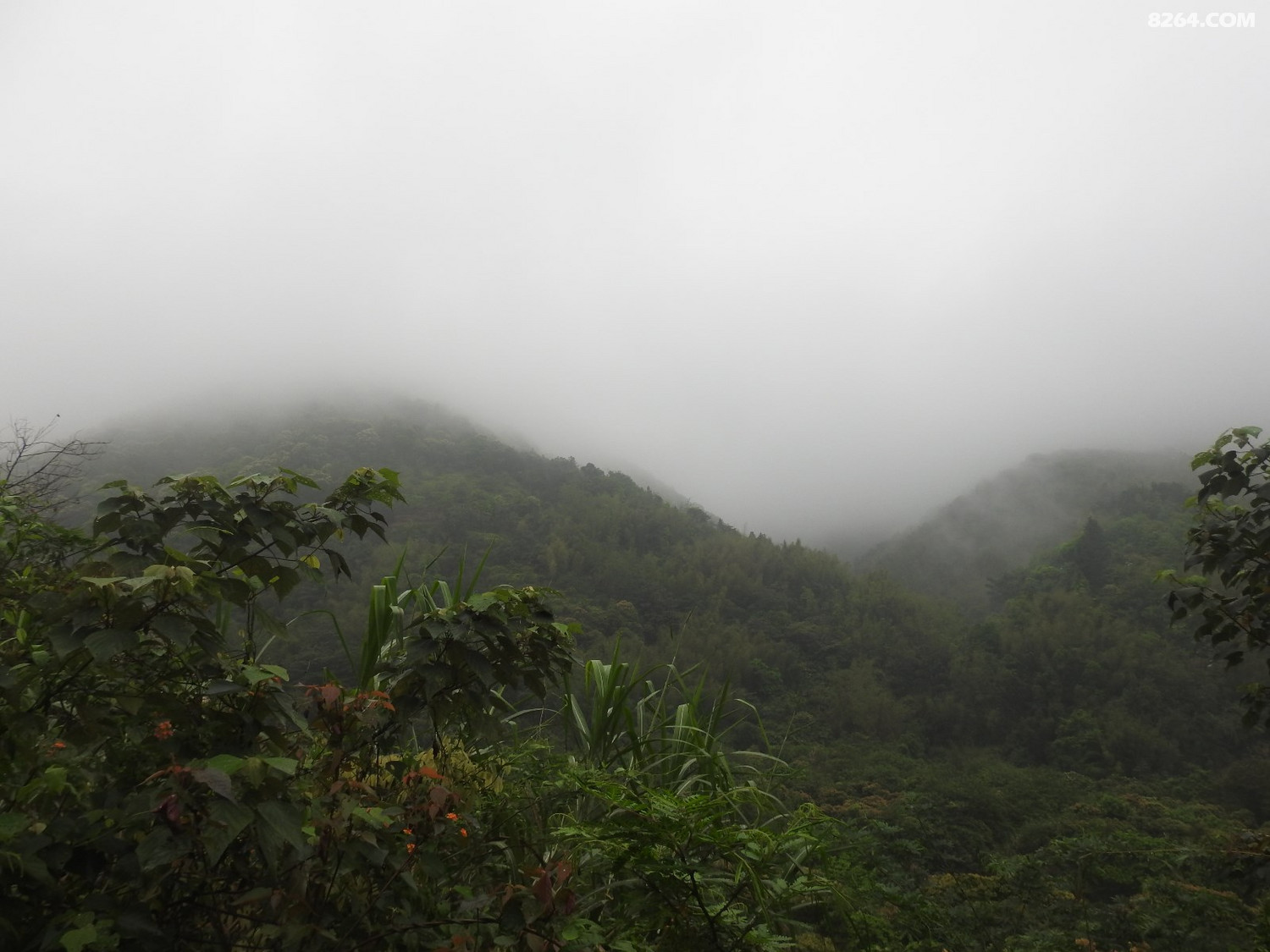 DSCN4028.JPG