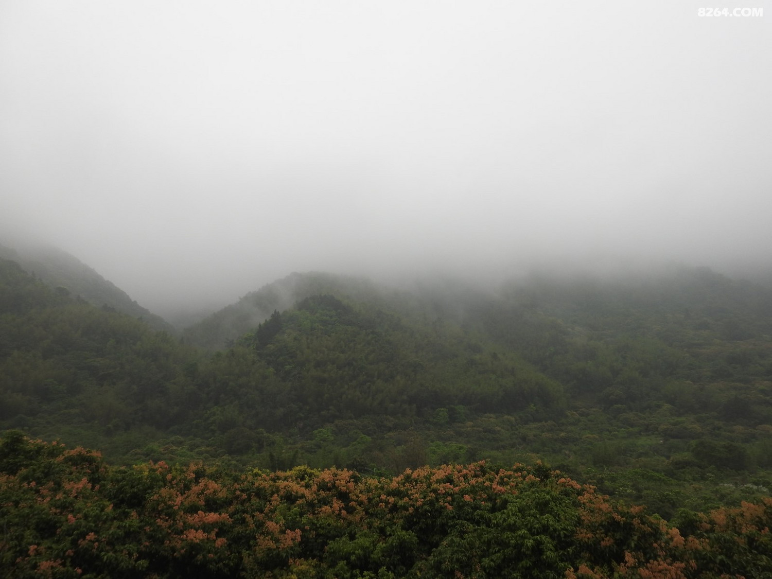 DSCN4027.JPG