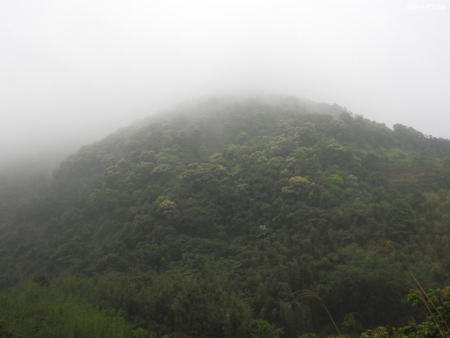DSCN4030.JPG
