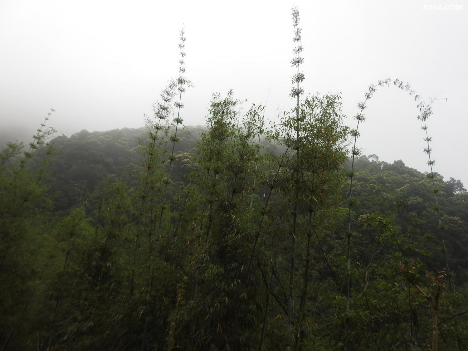 DSCN4032.JPG