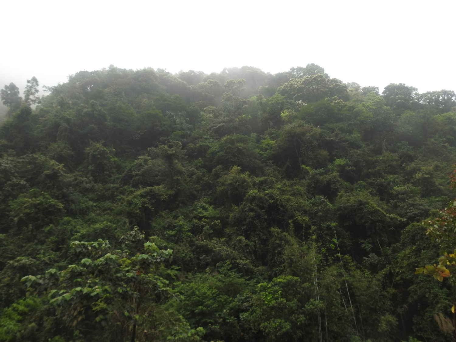 DSCN4033.JPG