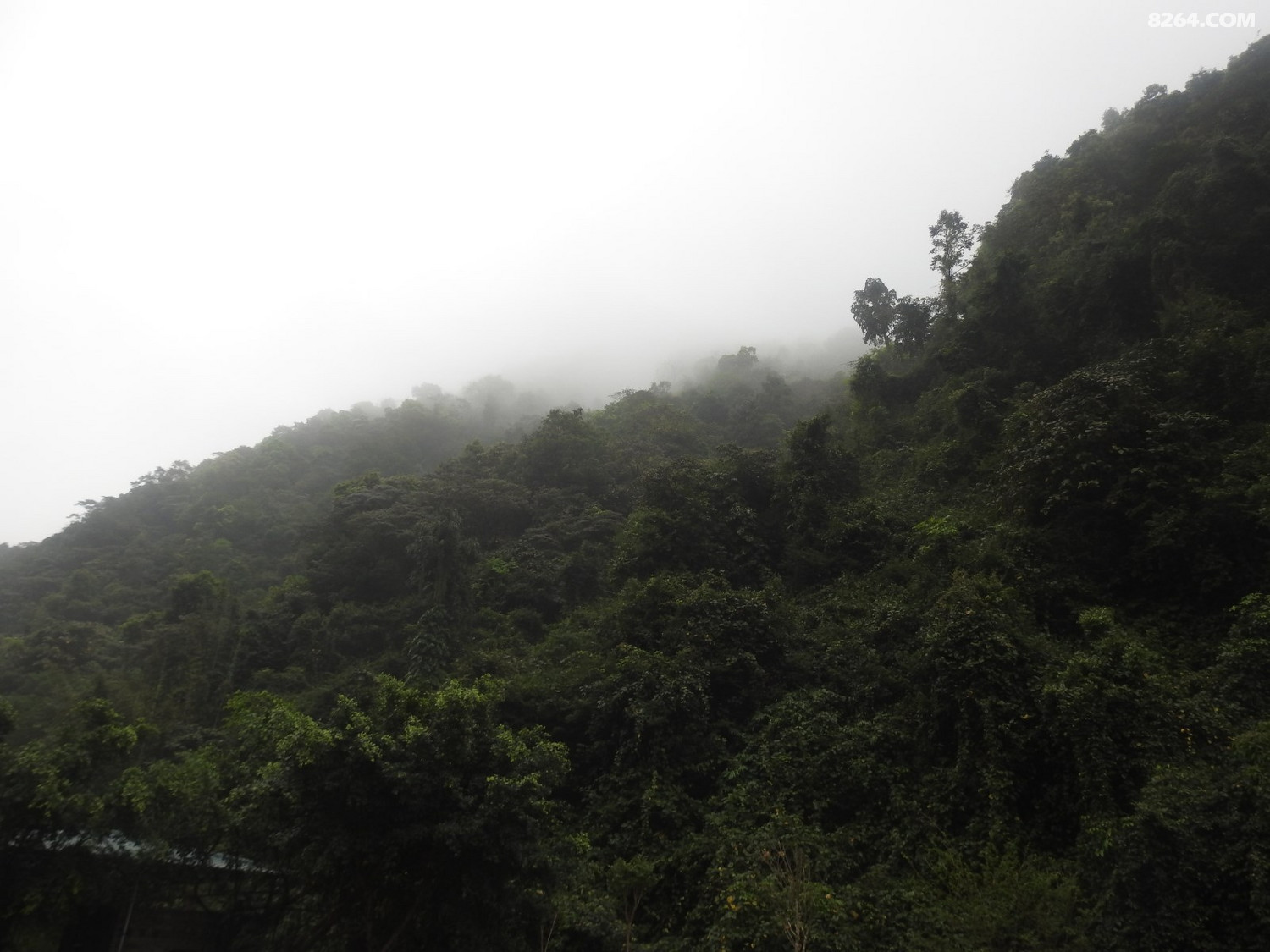 DSCN4035.JPG