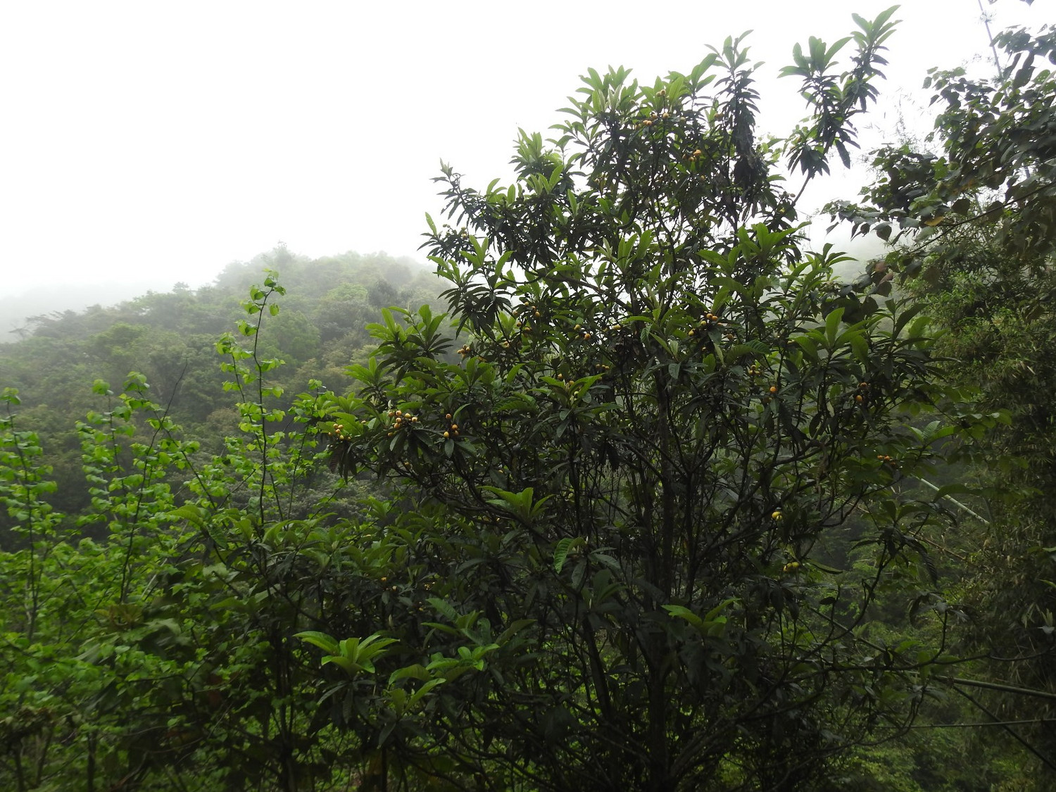 DSCN4036.JPG