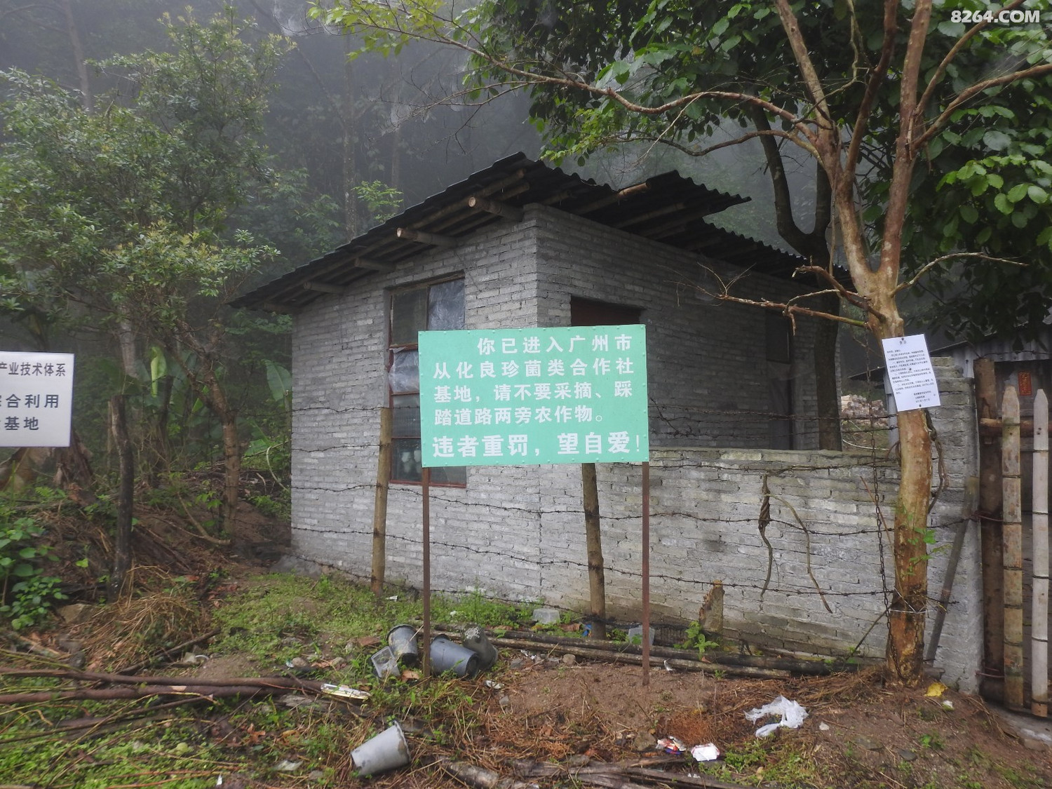 DSCN4039.JPG