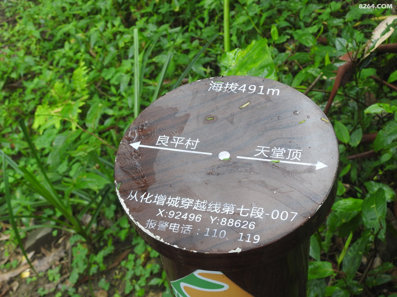 DSCN4040.JPG
