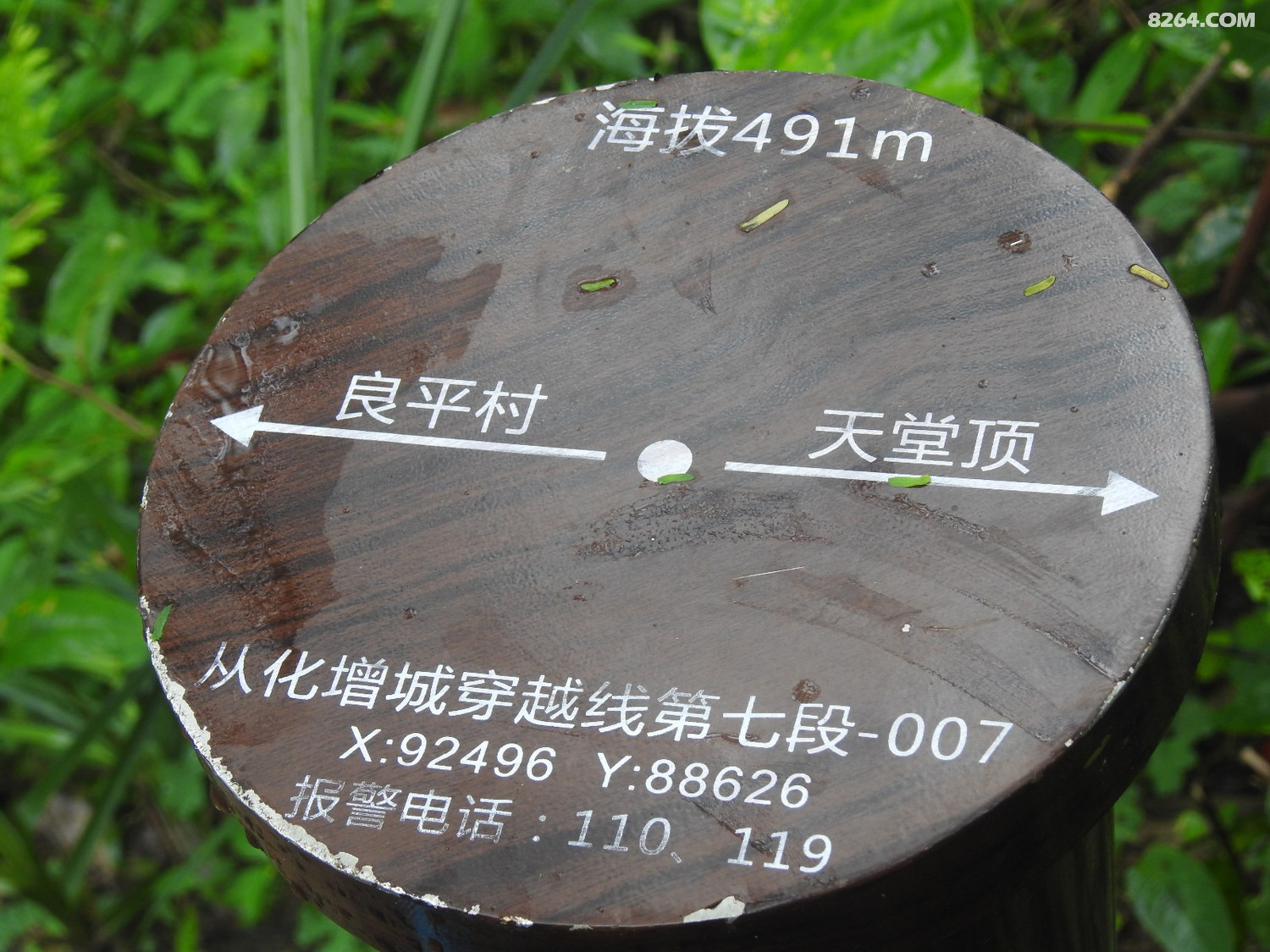 DSCN4041.JPG