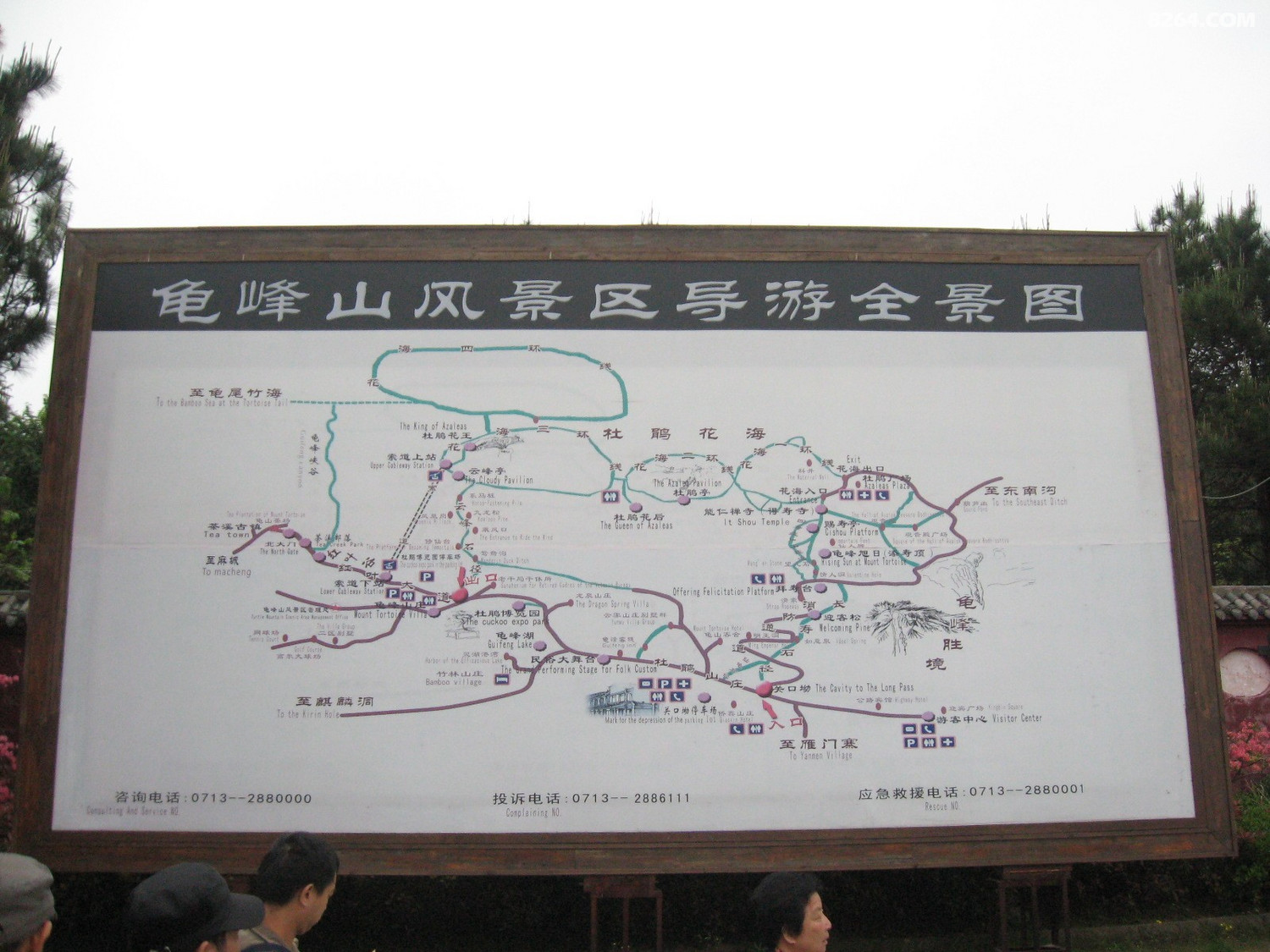 IMG_4764.JPG