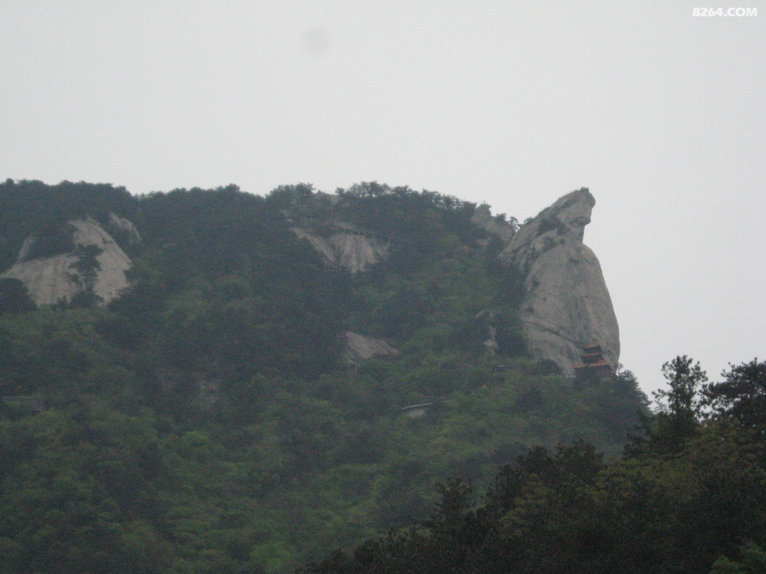 IMG_4776.JPG
