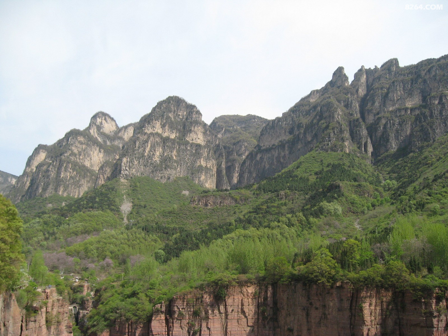 IMG_5570.JPG