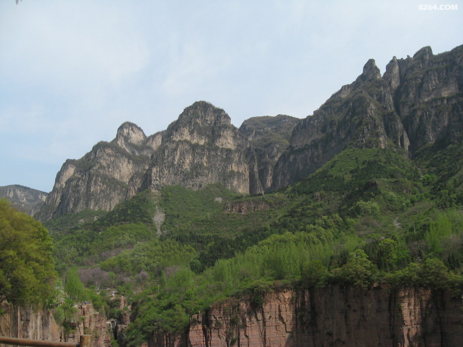 IMG_5578.JPG