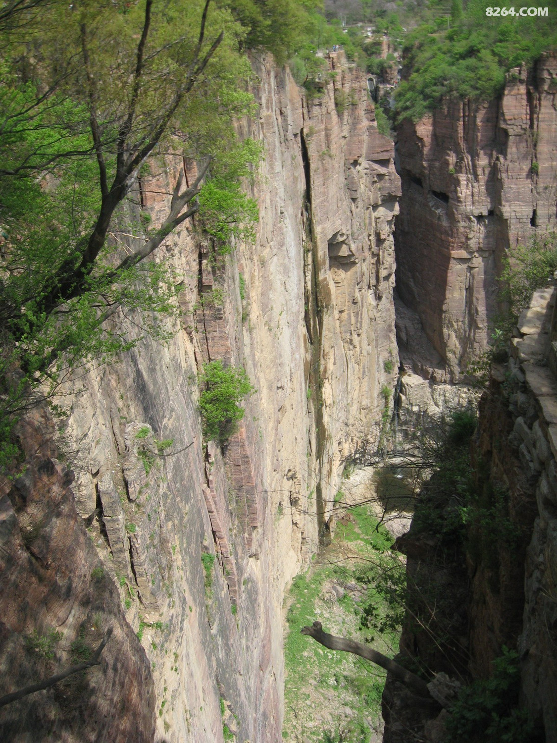 IMG_5579.JPG