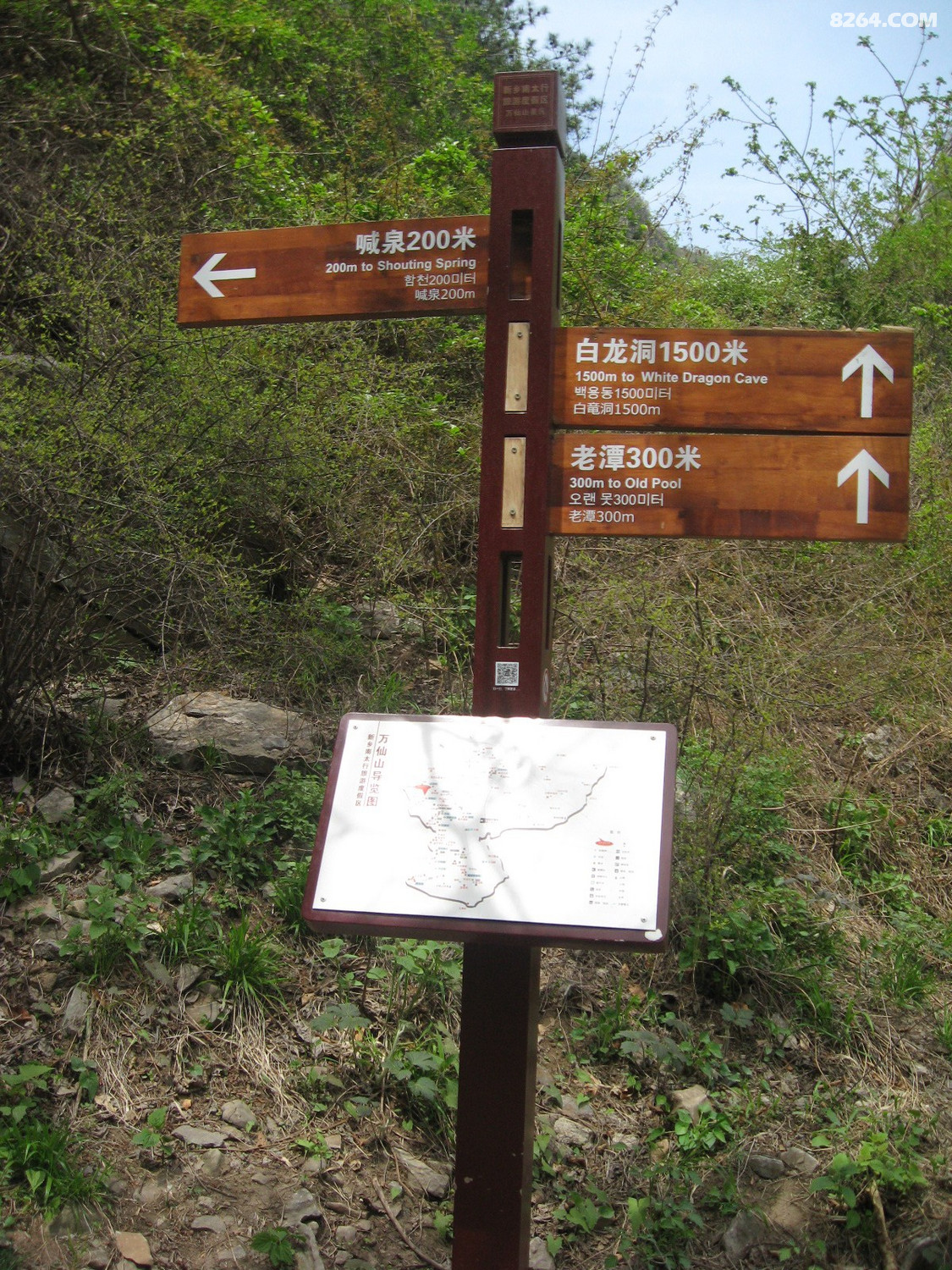 IMG_5849.JPG