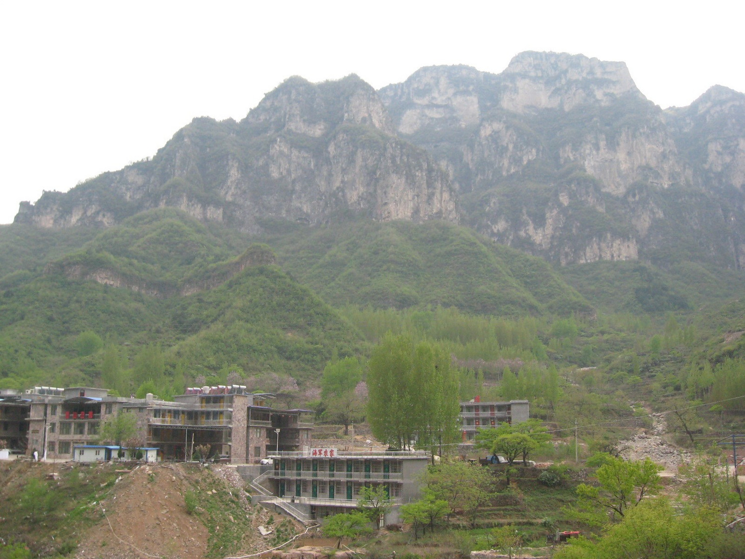 IMG_5950.JPG