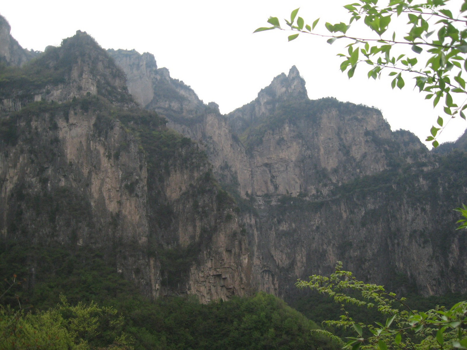 IMG_5960.JPG