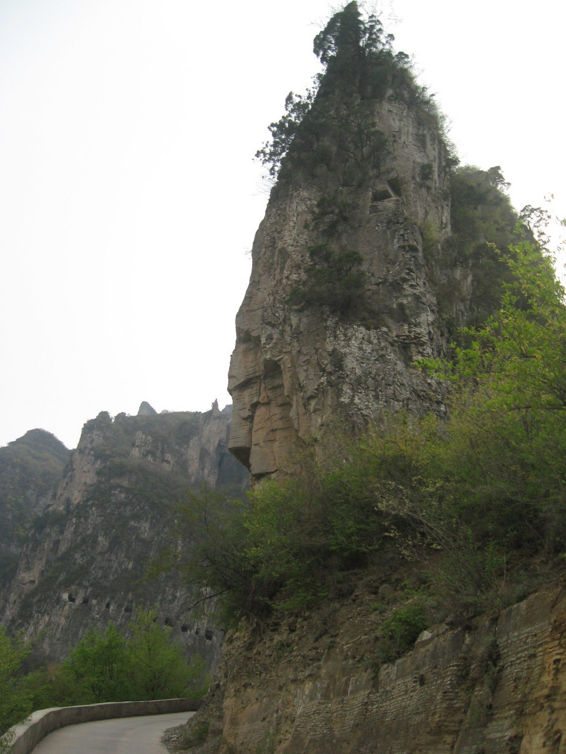 IMG_5963.JPG
