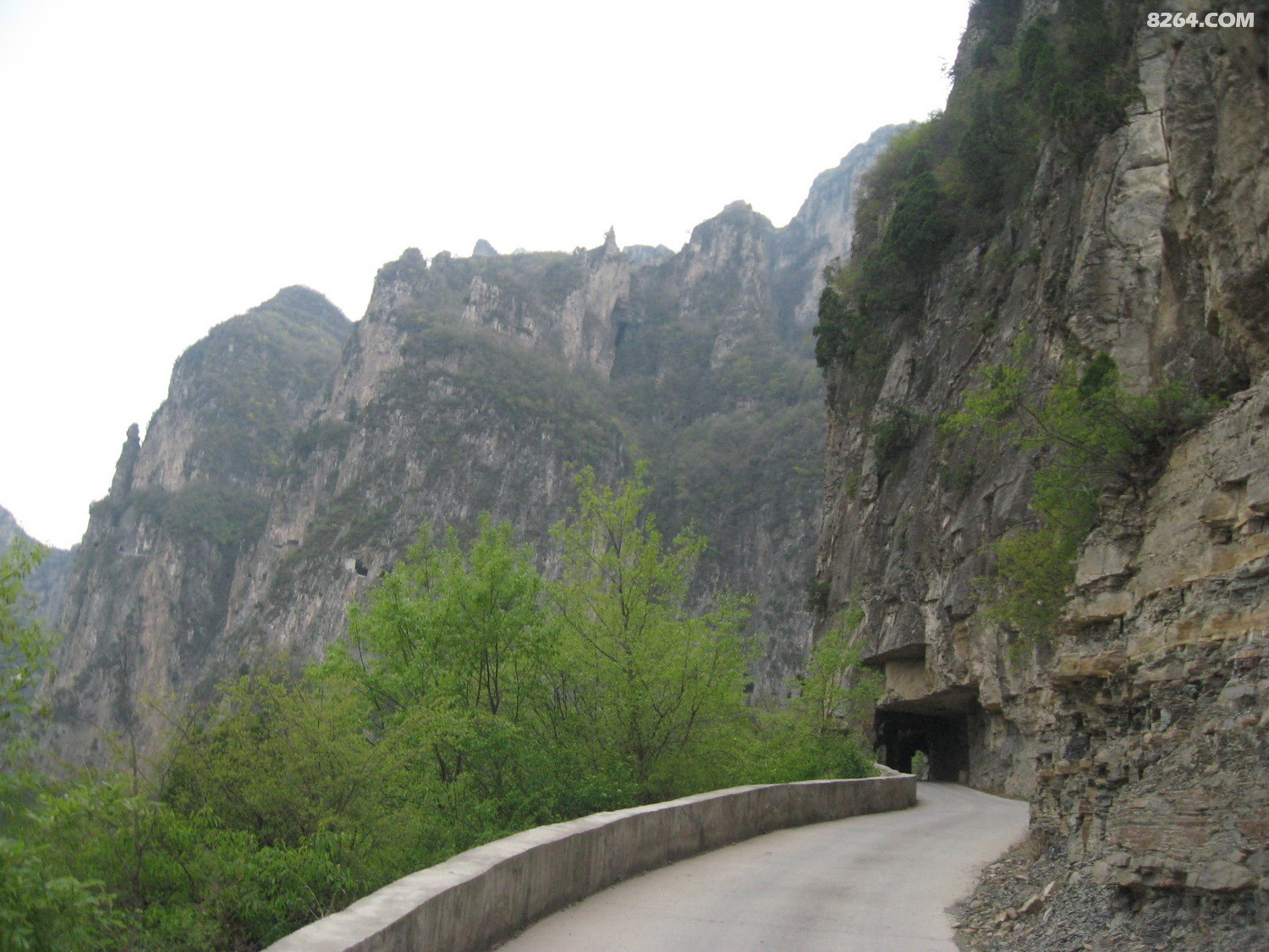 IMG_5964.JPG