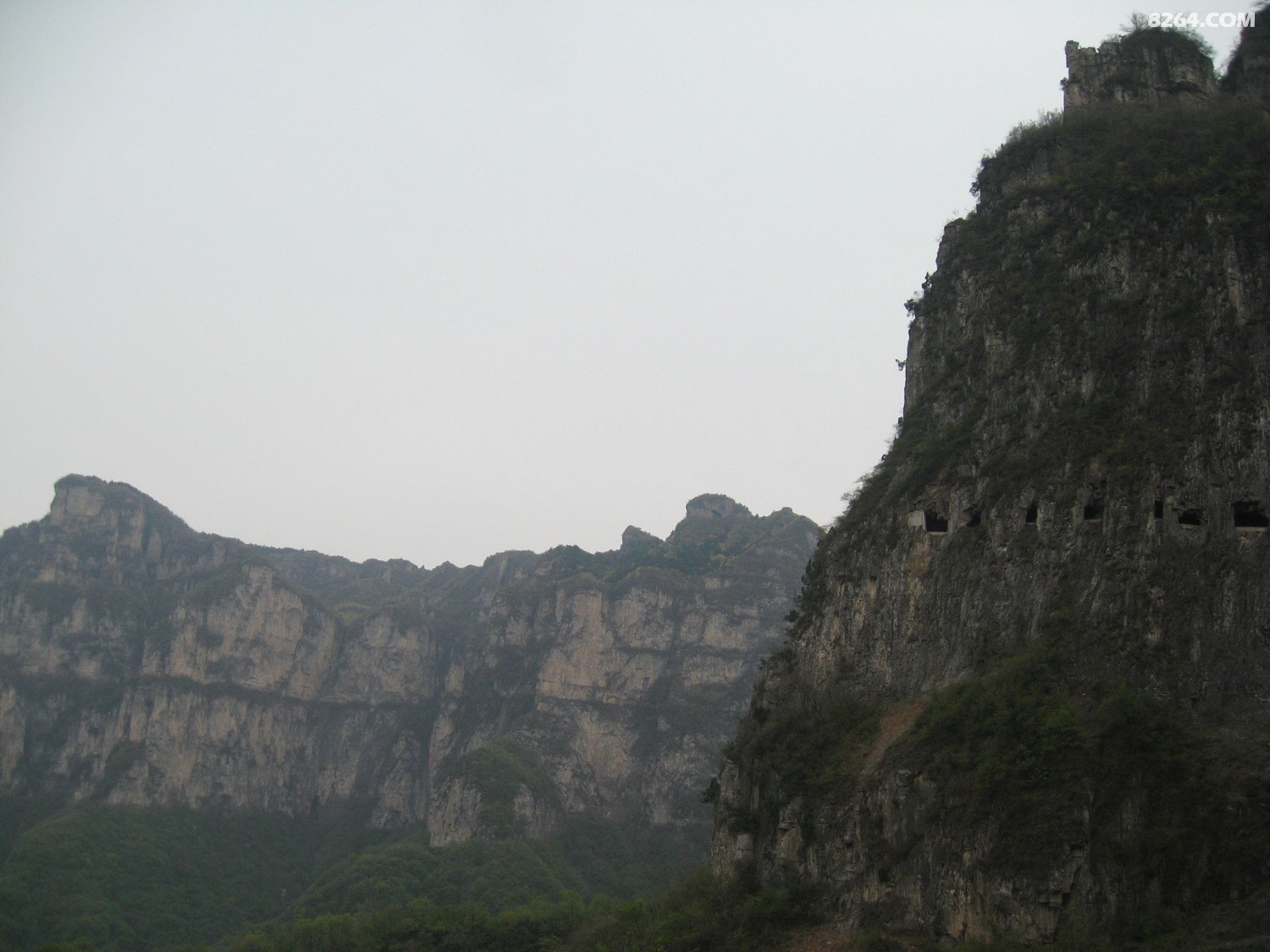 IMG_5992.JPG