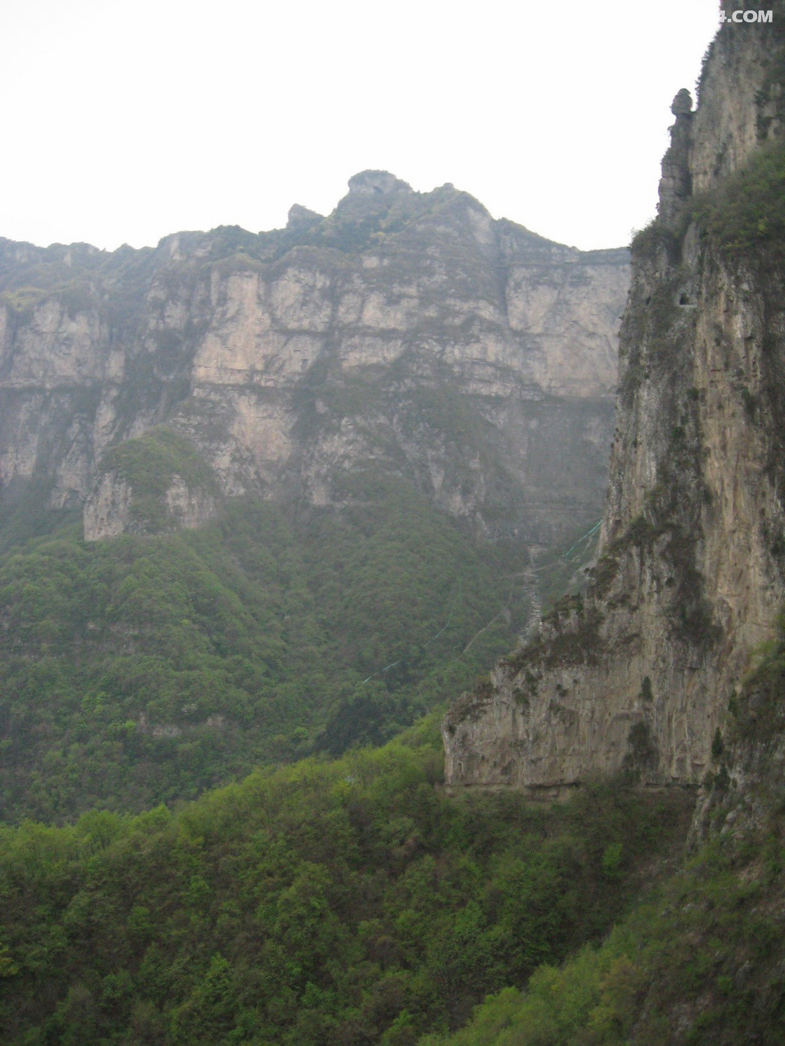 IMG_6030.JPG