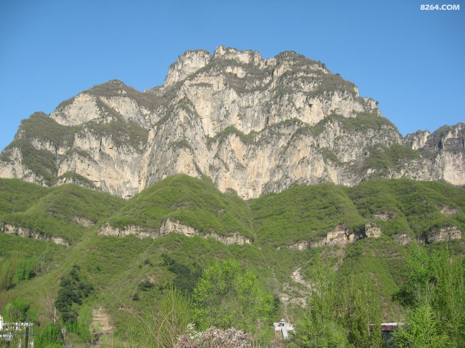 IMG_6323.JPG
