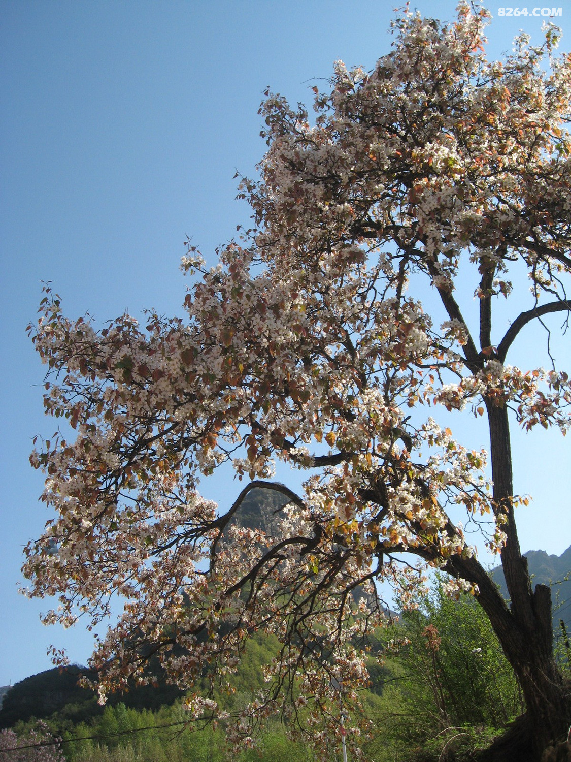 IMG_6335.JPG