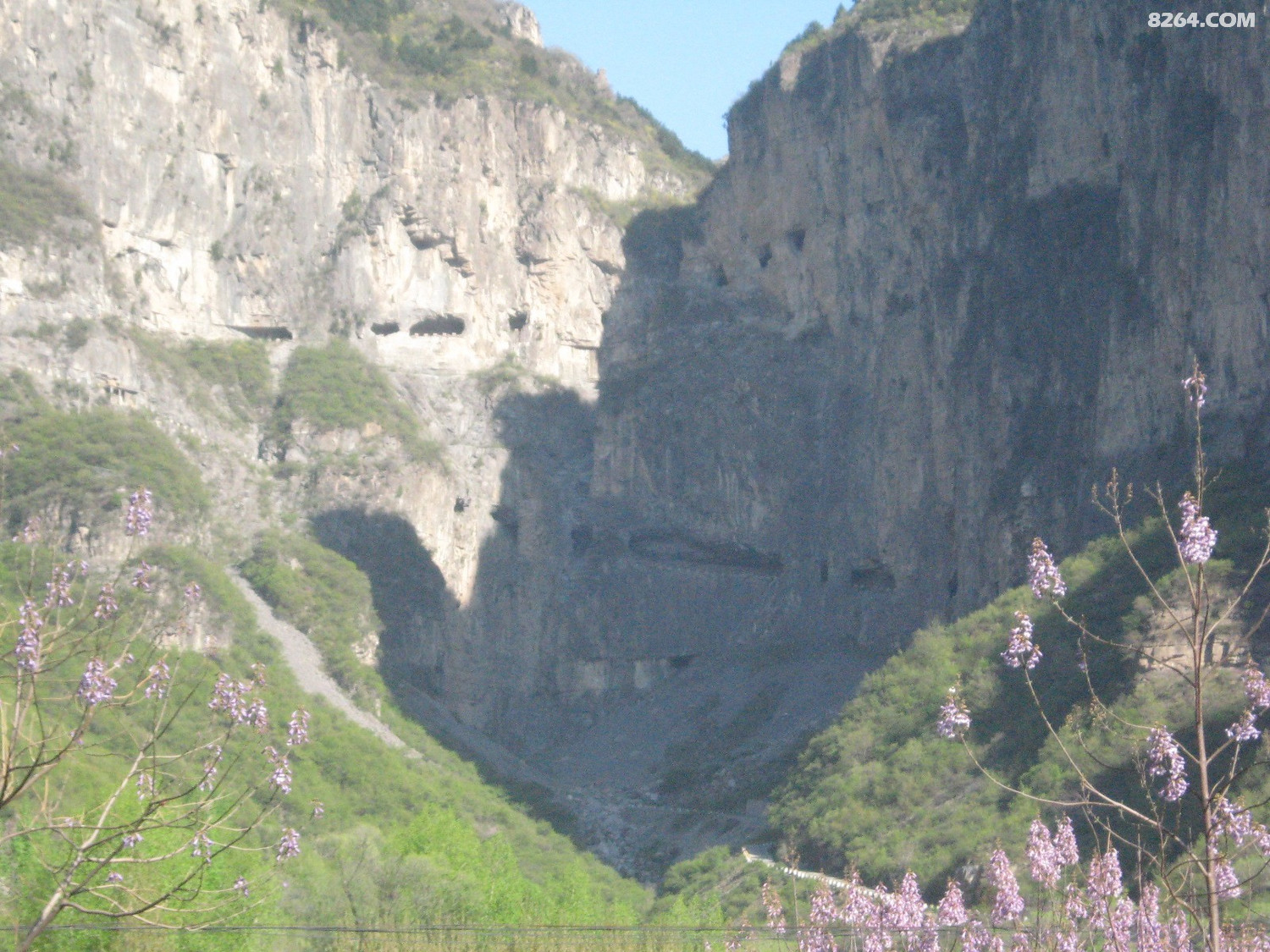 IMG_6337.JPG