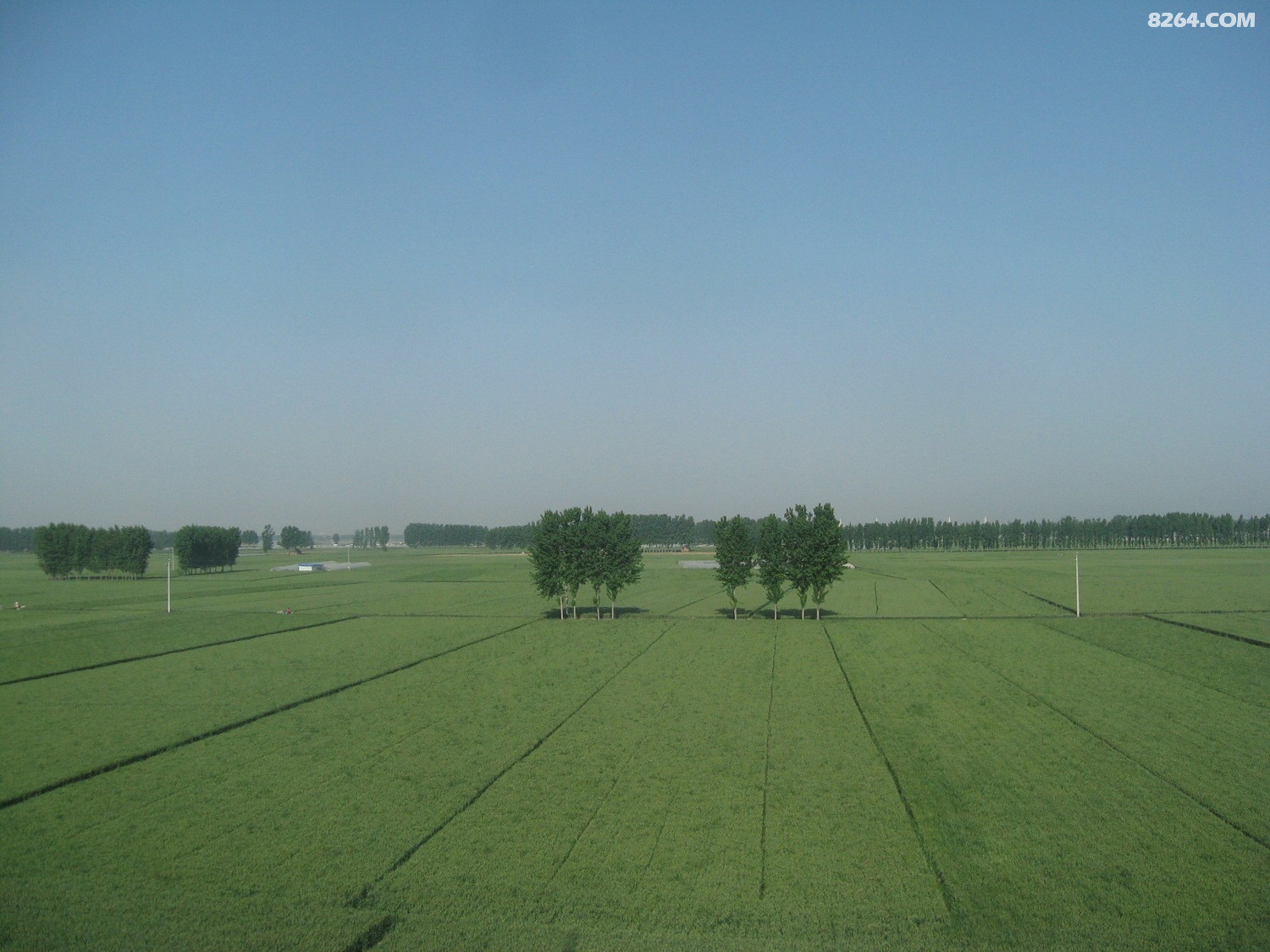IMG_7862.JPG
