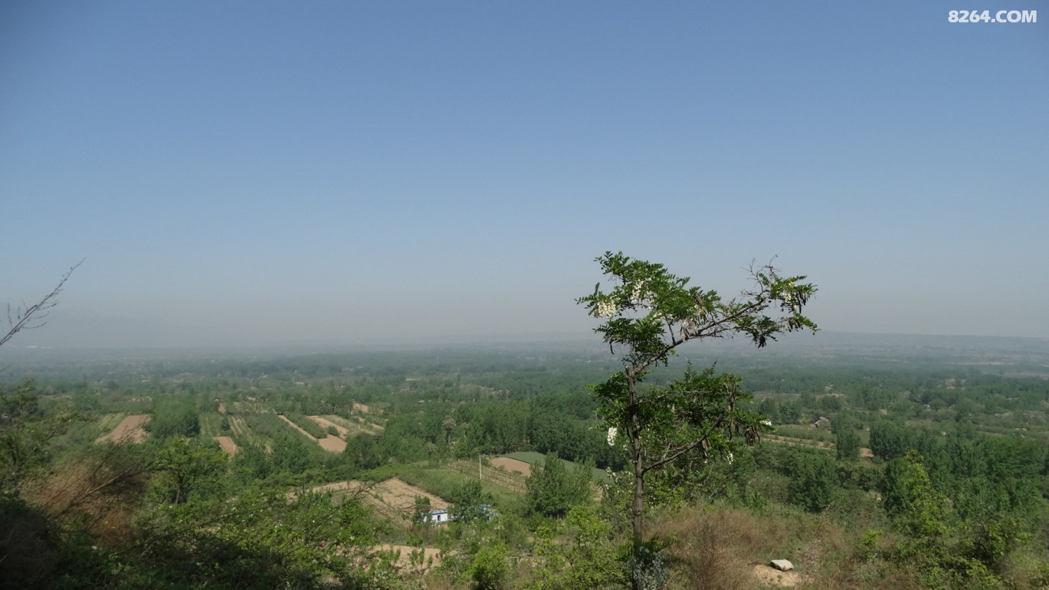 豫西小秦岭娘娘山游记