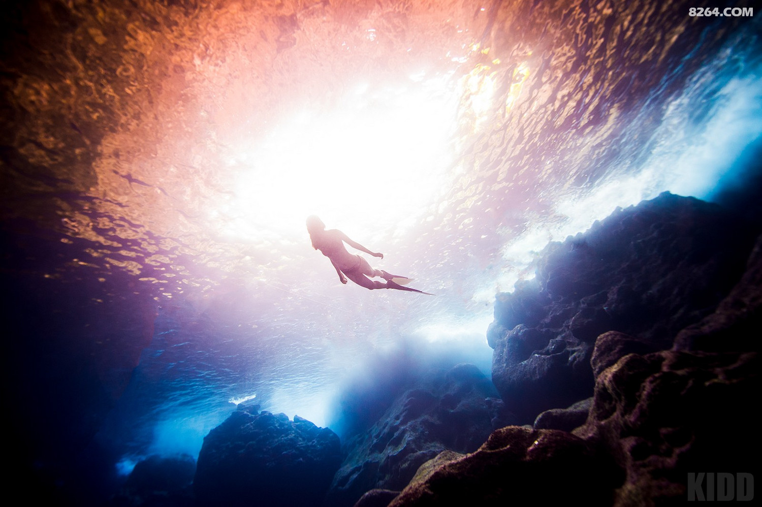 水中精灵海盗王基德自由潜摄影作品