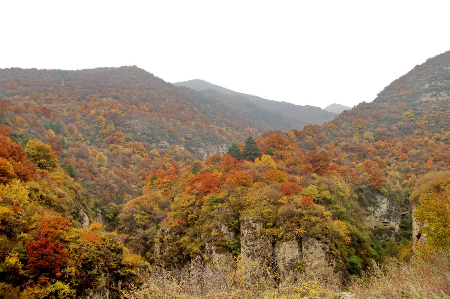 走进凌井沟自然保护区和泥屯超原生态纯农业区多种驴道不断更新中