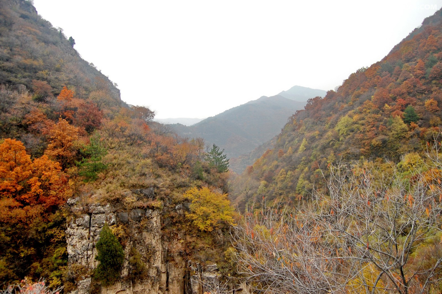 走进凌井沟自然保护区和泥屯超原生态纯农业区多种驴道不断更新中
