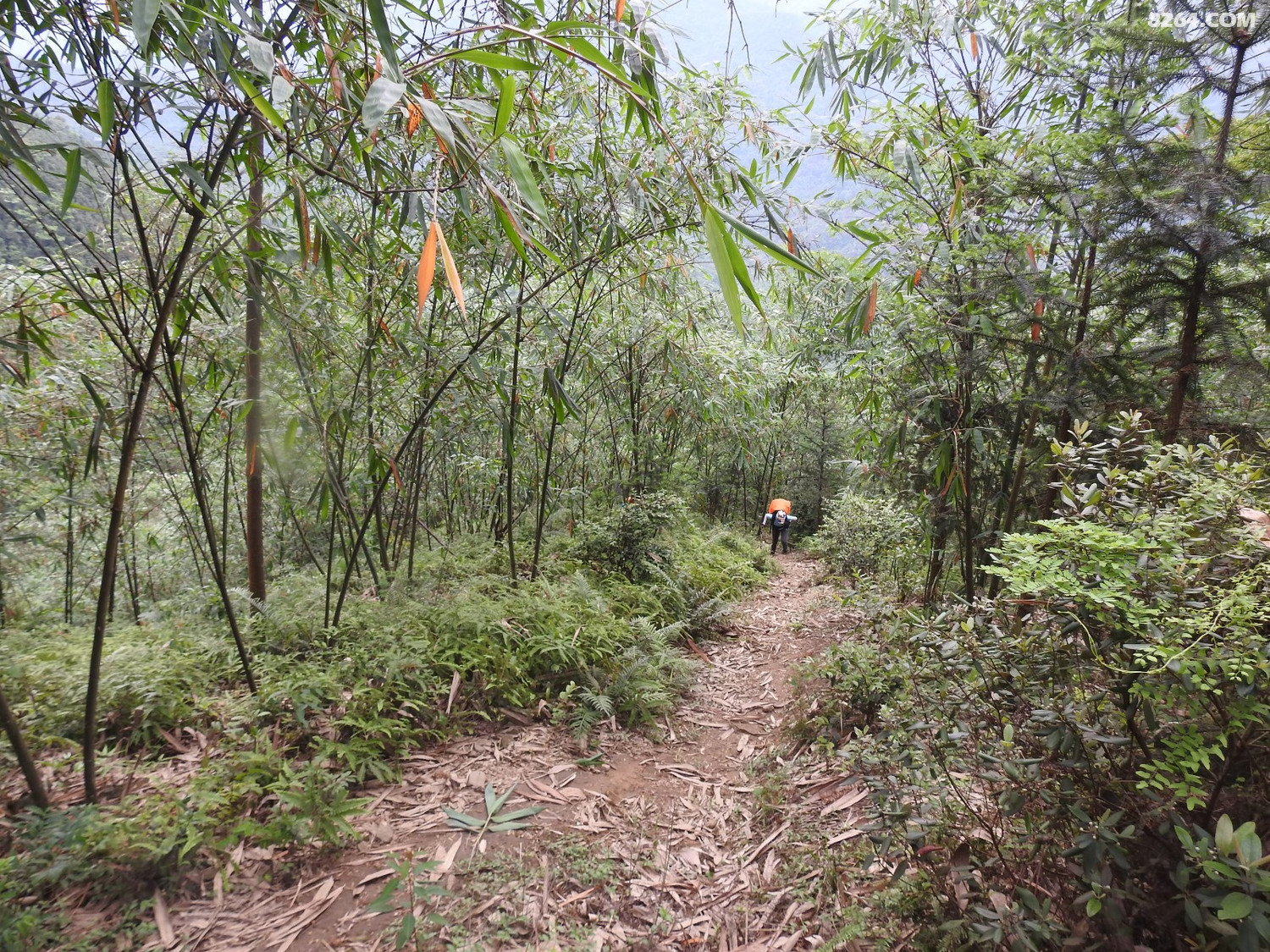 DSCN4301.JPG