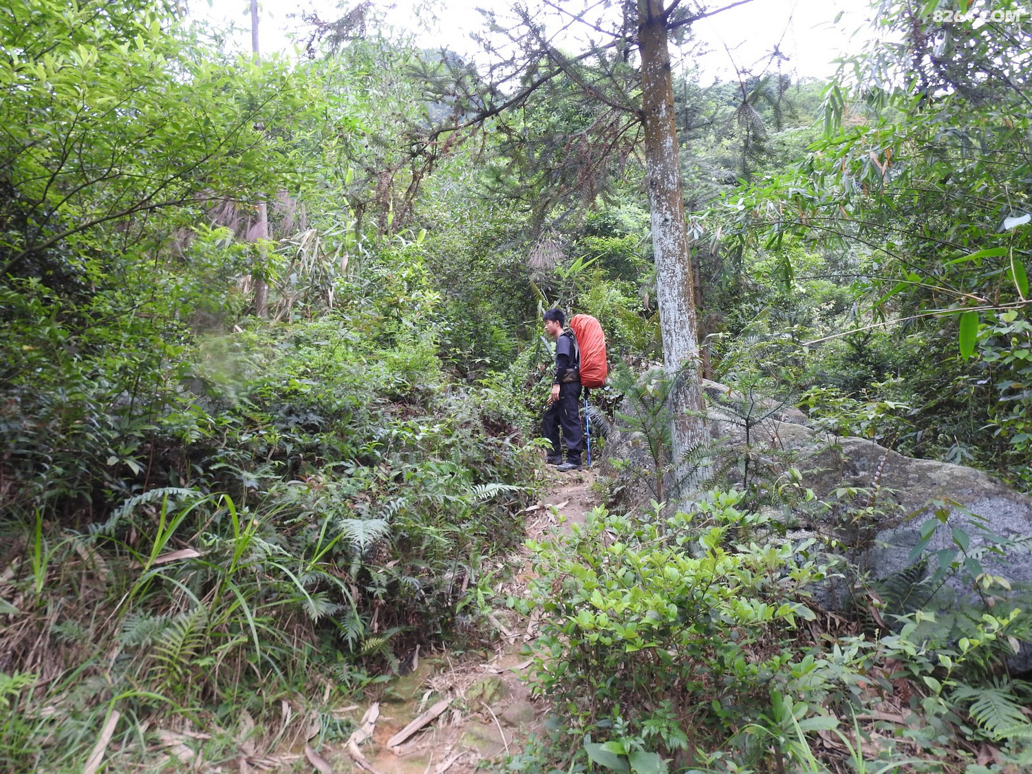 DSCN4302.JPG