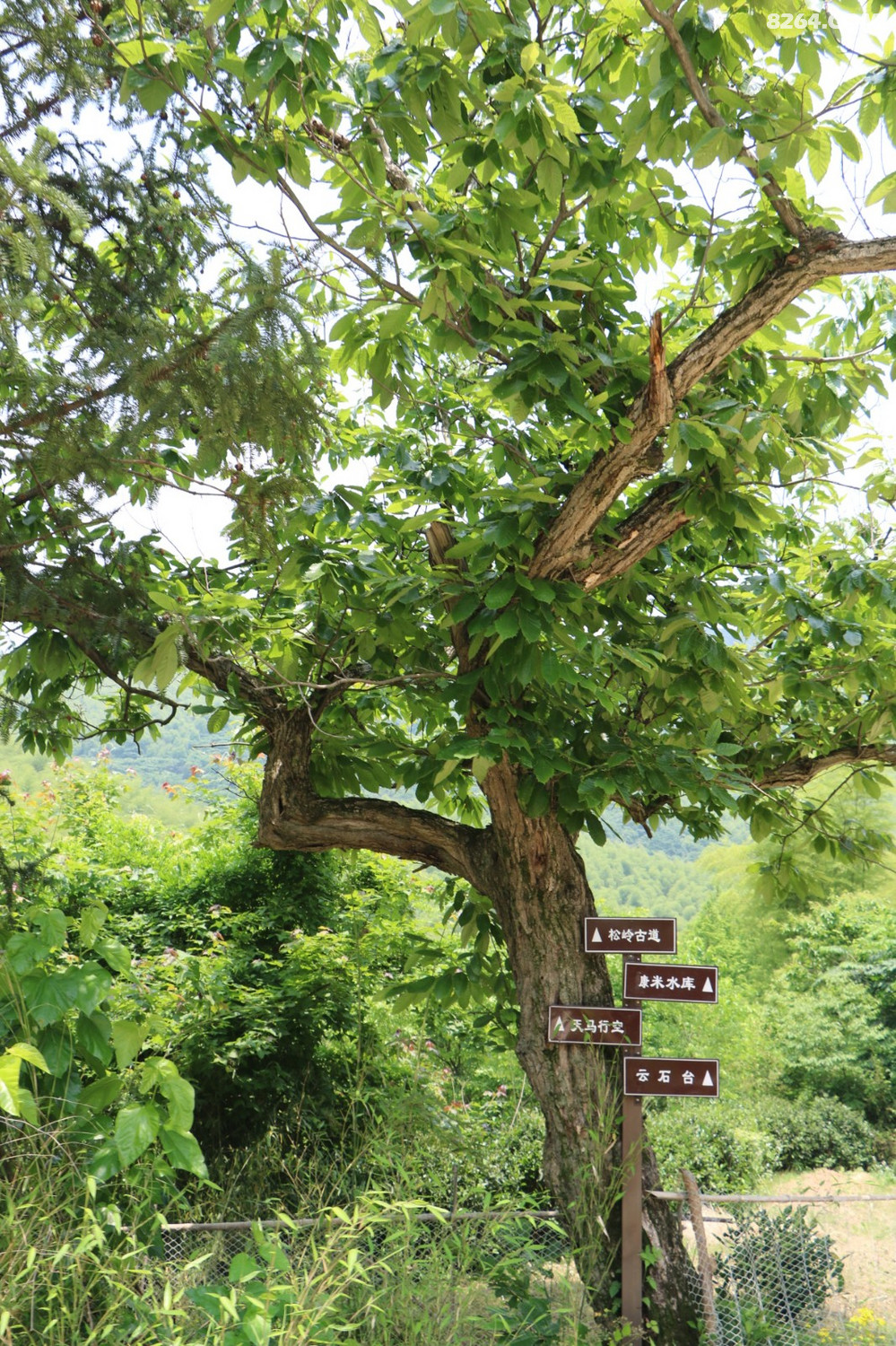 正反穿越溧阳松岭古道