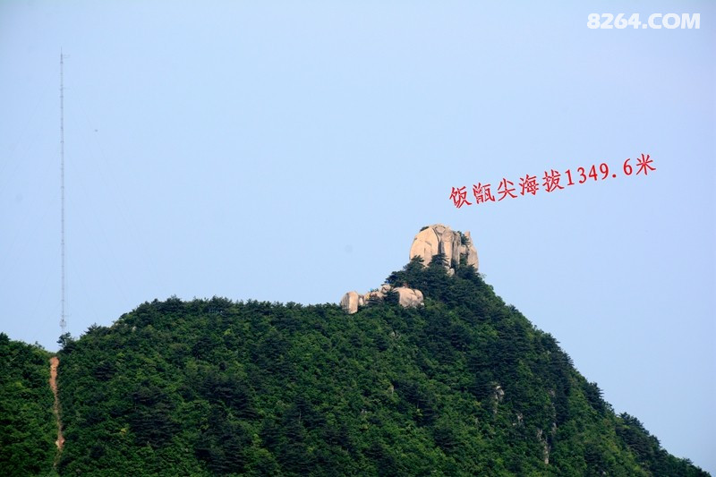 DSC_8199_���� 1.jpg