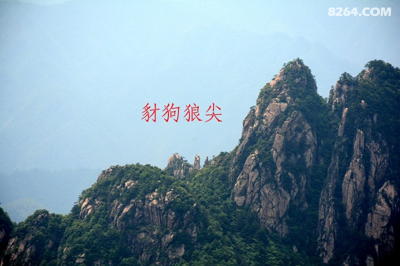 DSC_8504_����_���� ���Ǽ�.jpg