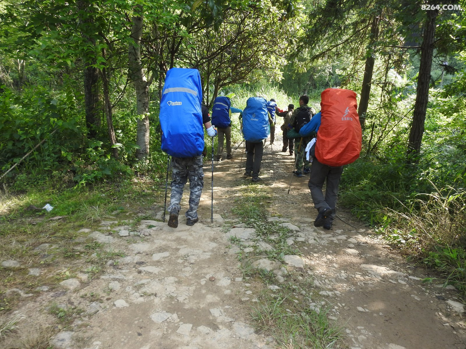 DSCN4389.JPG