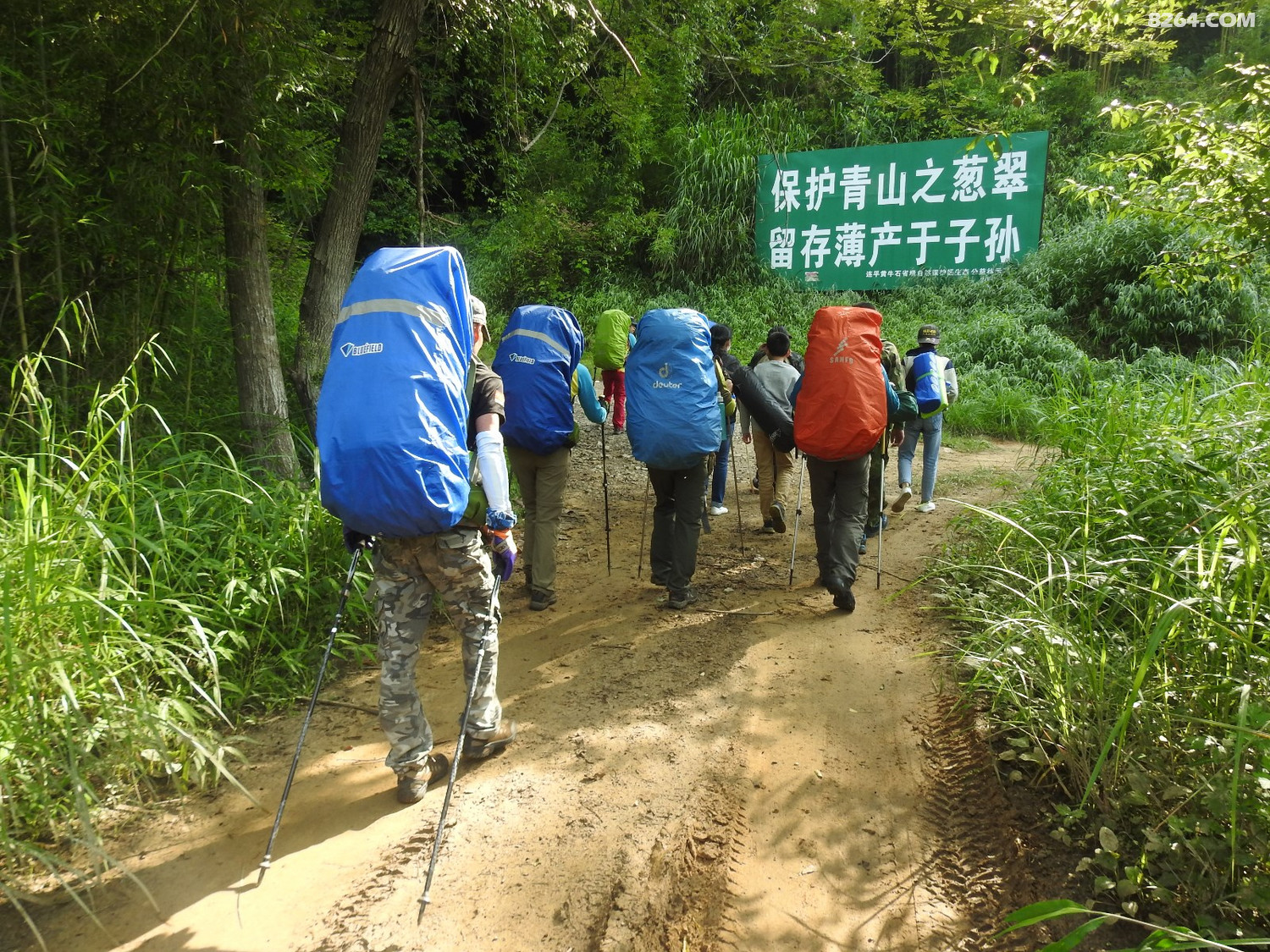 DSCN4390.JPG