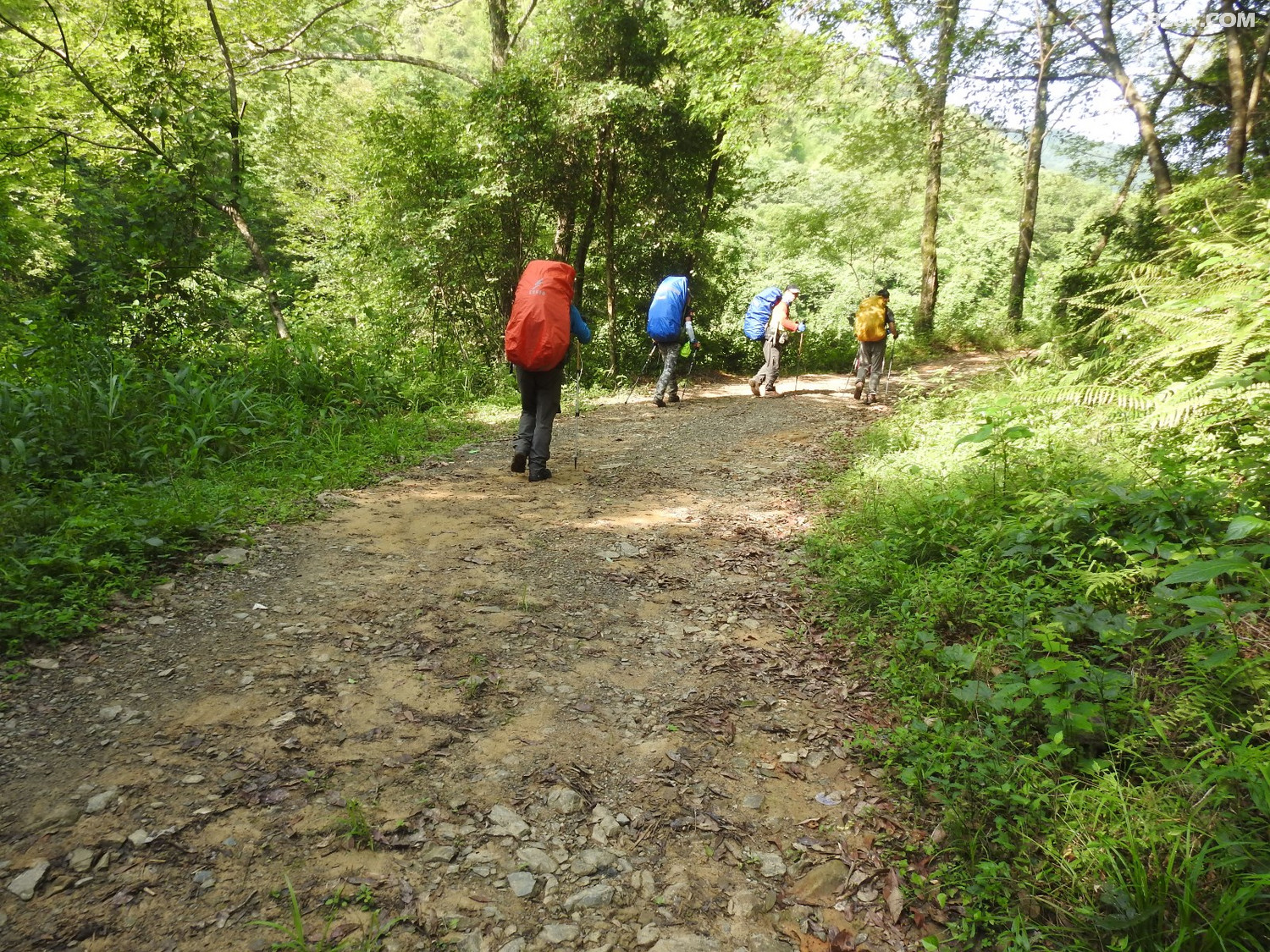 DSCN4397.JPG
