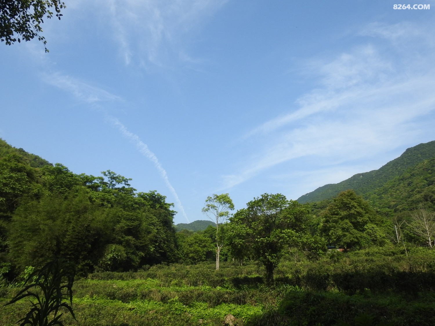 DSCN4398.JPG