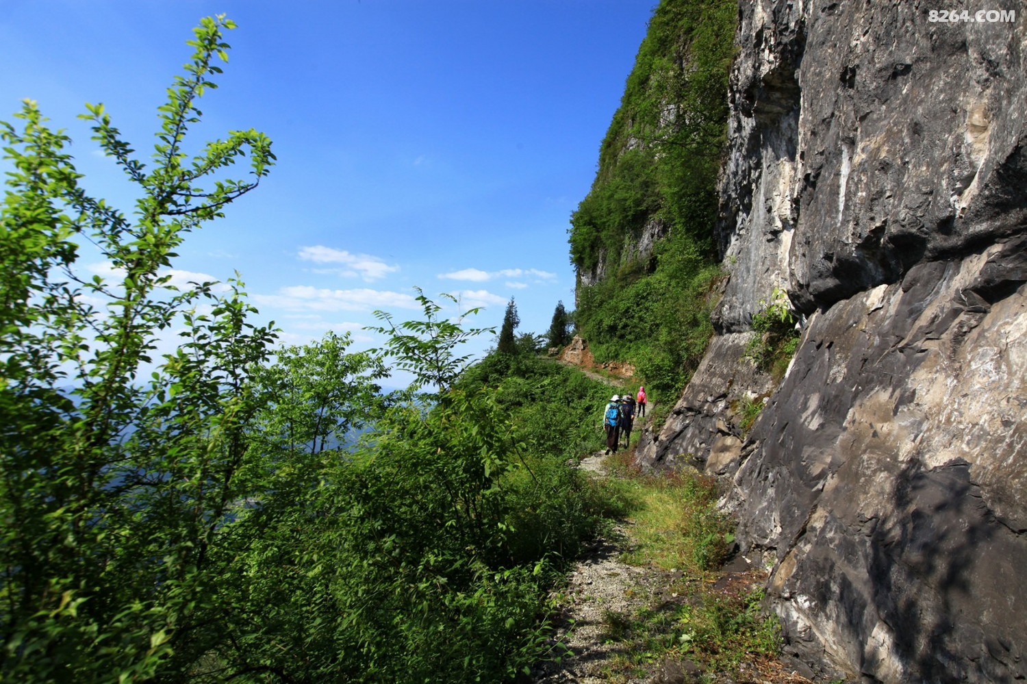寻踪贵州正安之巅天楼山