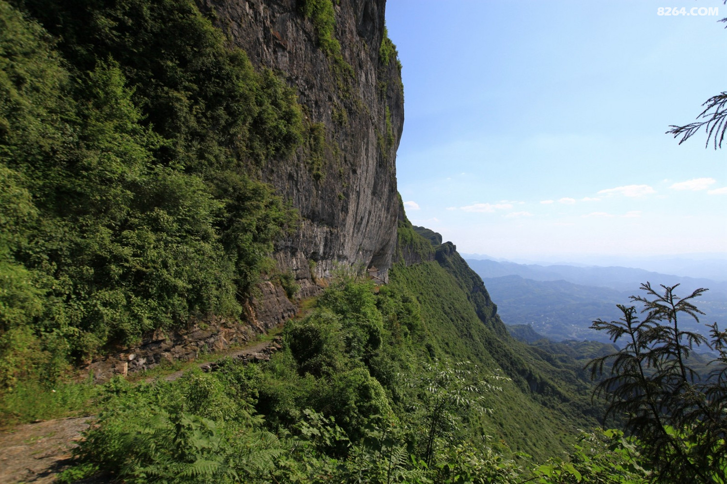 寻踪贵州正安之巅天楼山