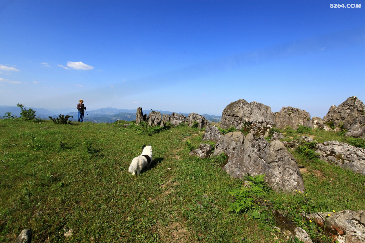 寻踪贵州正安之巅天楼山