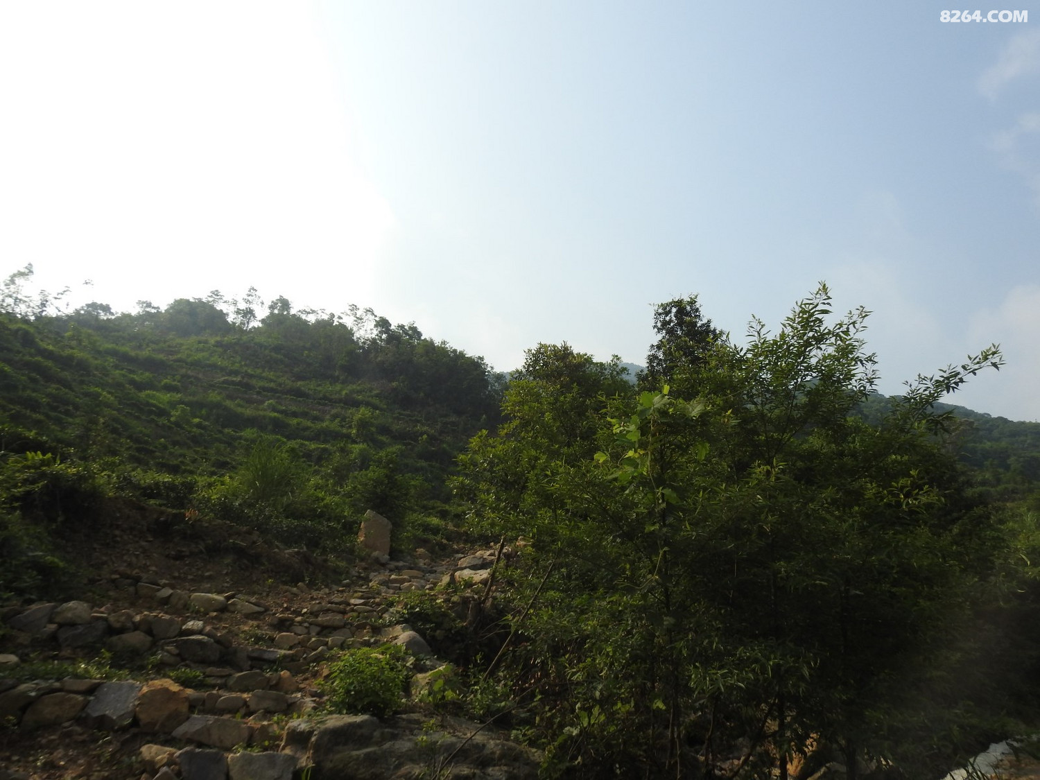 DSCN4971.JPG
